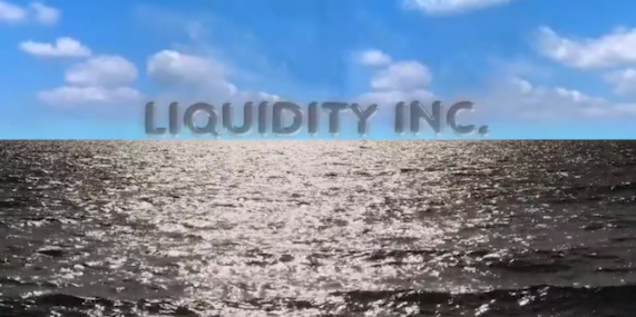 Hito Steyerl Liquidity Inc 2014